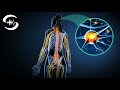 Heal and relax Nervous System with amazing Frequencies
