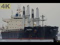 INTERLINK FIDELITY - Shipspotting Weser near City Brake Unterweser 🇩🇪 - 4K VIDEO