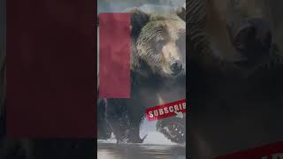 The Wildest animal living in Denali (Mount McKinley) #shorts #wildlife #bear