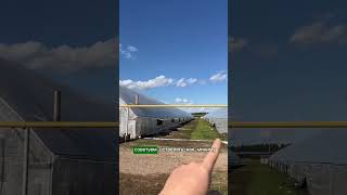 Как Выглядит Туннельная Теплица?