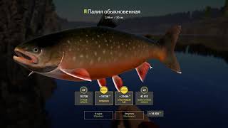 : Russian Fishing 4    . .  1