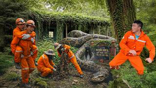 Terrifying Discovery! Giant Python Guards Abandoned Grave While Workers Panic in Haunted Forest Wealth