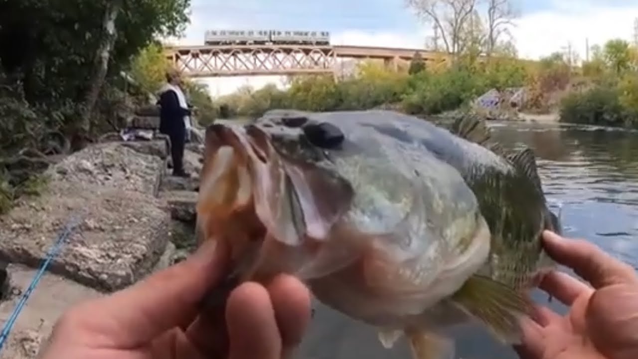 Bass Fishing The Chicago River NSC || Tips for catching bass and how to effectively remove a snag