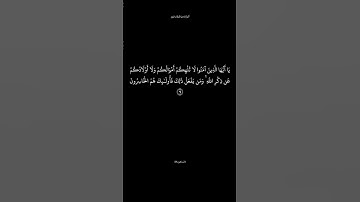 سورة المنافقين الآية 9 القارئ ماهر المعيقلي #تذكير_بالله #انشروا_القران #الدال_على_خير_كفاعله