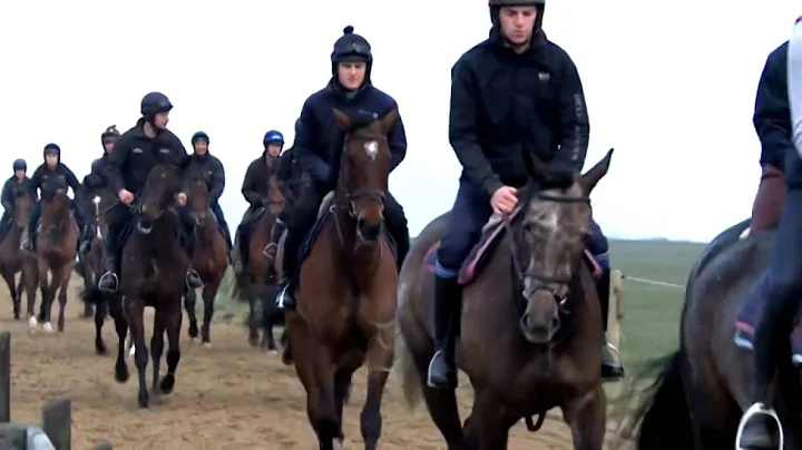 Rebecca Curtis Grand National 2014 feature