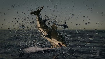 Matrix Shark Breach (with Bullet Time) (Blender 3D Animation)