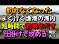 最近釣果の噂が乏しくなった、よく行く漁港の湾内、やはりこの仕掛けなら短時間でも釣果が出せる（仕掛け解説あり）