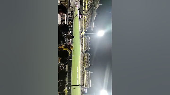 #2024 #chepauk #ipl💛 #shorts #cricket #csk #chennai #msdhoni #trending #shortvideo #cricketlover