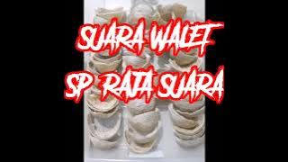 Suara walet || sp.raja suara || by.editor handal kalimantan