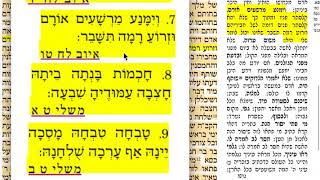 דף היומי סנהדרין ל״ח 38 רביעי א׳ אלול תשע״ז