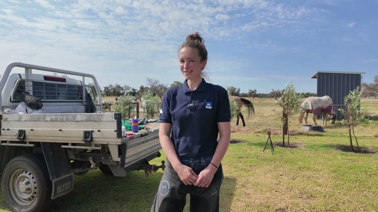 Day in the Life with Harriet and Jason from Canniford Farriers in Perth, WA