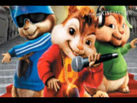 SOLO AMIGOS - ARDILLAS MUSIC