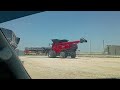 Case IH AF10 combine going to the field for the first time!