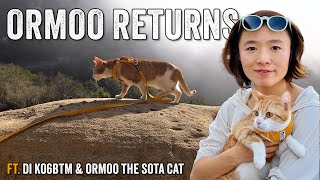 Morse Coding With The Cat