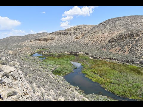 Video: Riparian коругу Гилберттеги Water Ranch, AZ