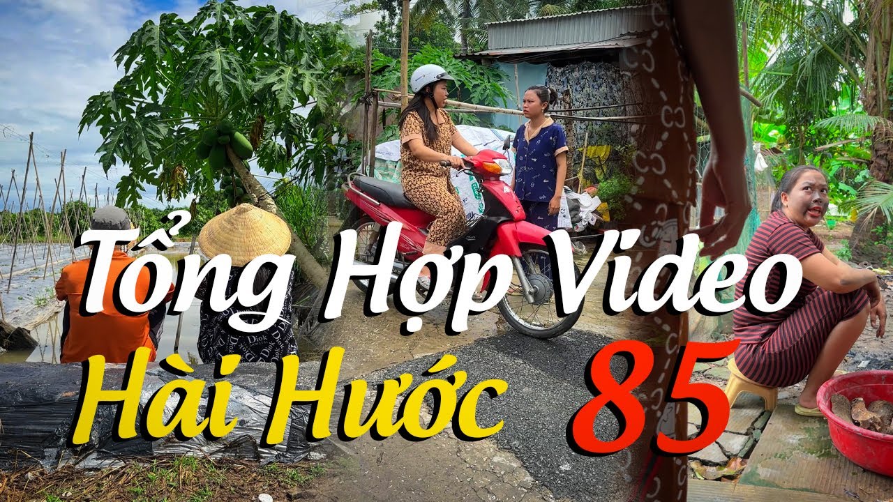 Tổng Hợp Video Hài Hước Của Nguyễn Huy Vlog (Phần 85) #videogiaitri #vochongson #nguyenhuyvlog