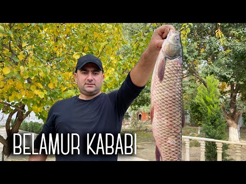 Video: Balıqları Folqa Ilə Bişirmək