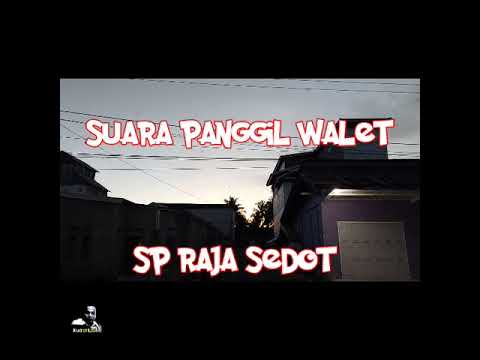 SP PIRAMIDA EMAS. suara walet birahi original bersih, u/ suara panggil, inap, atau suara tarik