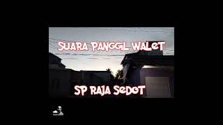 SP RAJA SEDOT| Suara Panggil Walet