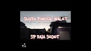 SP RAJA SEDOT || Suara Panggil Walet