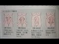 看護学生講座 149 母性 ｢レオポルド触診法 順番と意味を覚えよう｣
