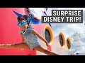 SURPRISE DISNEY TRIP to Disney World and Disney Cruise! - Top Flight Family - Luxury Family Travel