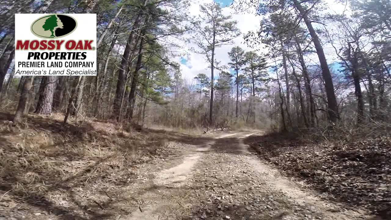 SOLD!!! Jirimiwi Hunting Club, Benton County, MS Land for Sale YouTube