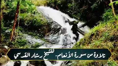 تلاوة هادئة من سورة الأنعام