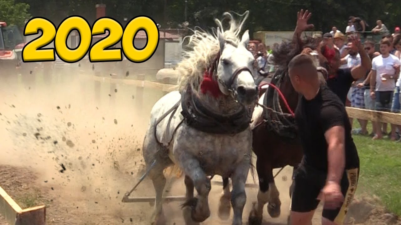 ŠTRAPARIJADA - RUMA 2020 !!!