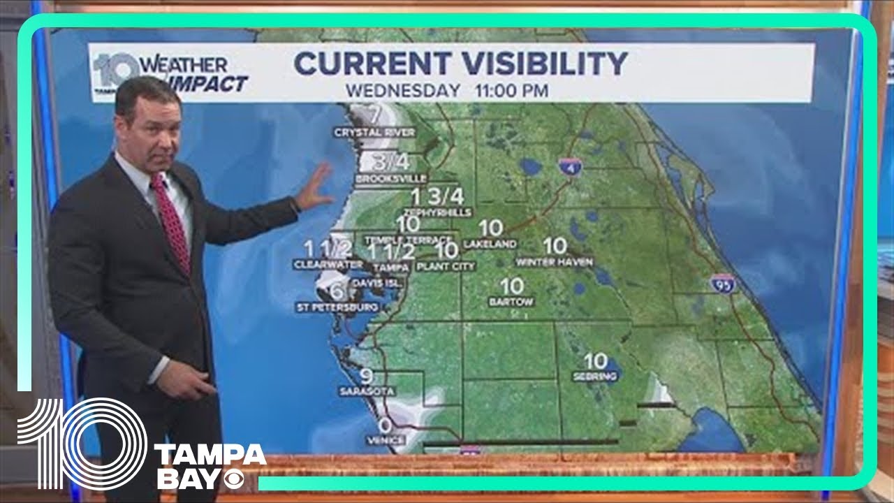 Dense fog advisory in place for entire Tampa Bay area - YouTube