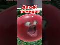 Дикий помидор #sleduck  #twitch #vtuber