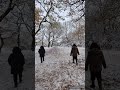 Frosty Forest in London