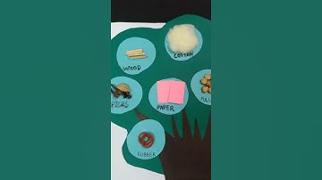 tlm/trees activity tlm/uses of trees/things we get from plant#shorts