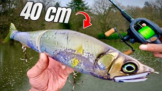 A GIANT LURE to catch the BIGGEST FISH in the pond !!