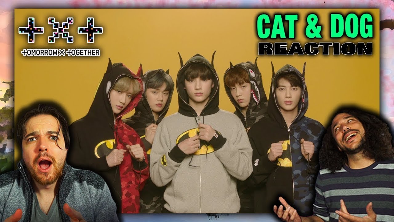 PRODUCERS REACT [ARCHIVE] - TXT Cat & Dog Reaction