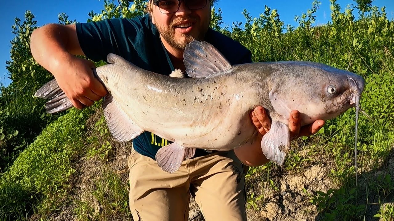 Understanding Current Seams Channel Catfish (Bridge Fishing) YouTube