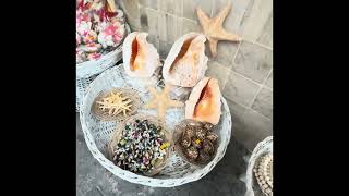 Ne Güzel Geçmişti Bütün Bir Yaz Bodrum