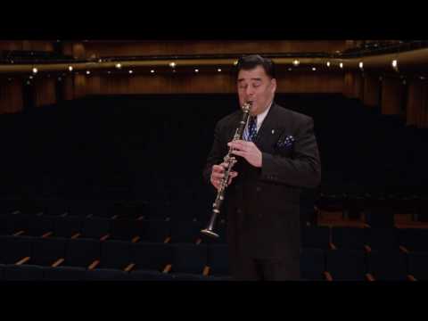 What does a clarinet sound like? (Ode to Joy)