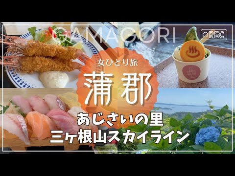 【女ひとり旅】☆圧巻☆満開のあじさいを訪ねて｜蒲郡グルメ｜あじさいの里｜あじさいライン｜竹島水族館｜