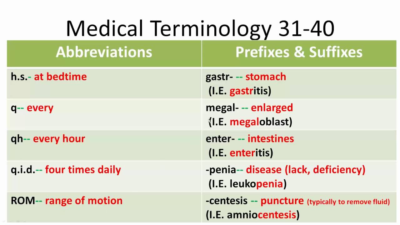 Medical Terminology 3140 YouTube