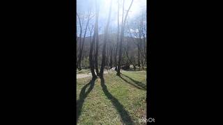 Vrelo Bosne visit Sarajevo
