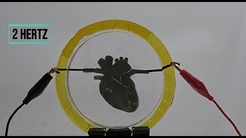 Soft stretchable surfaces by Dielectric Elastomer Actuators