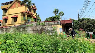 NOBODY SCHOOL clean up the trash and OVERGROWN weeds for FREE | transformation SHOCKED the TEACHERS