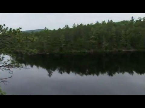 Video: Waar is die bosboubedryf in Kanada?