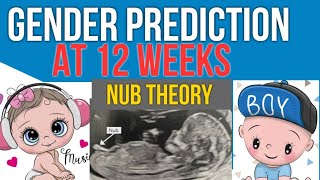 Early Gender Prediction in scan using NUB theory 12 weeks Pregnancy screenshot 5