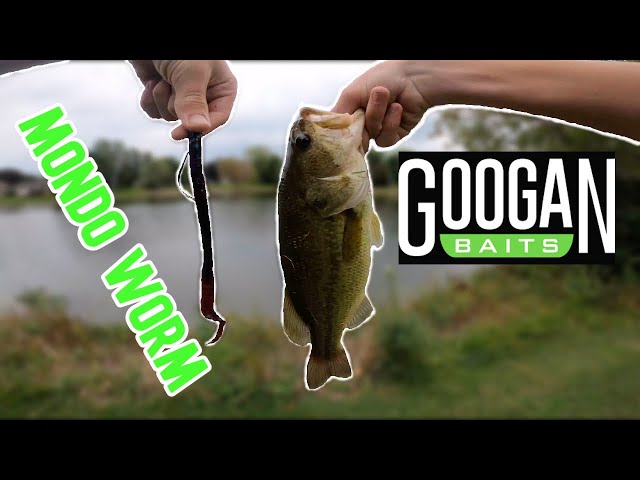 Fishing and Reviewing The Googan Baits Mondo Worm (is it Worth The Money?)  