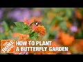 How to build a butterfly garden  the home depot