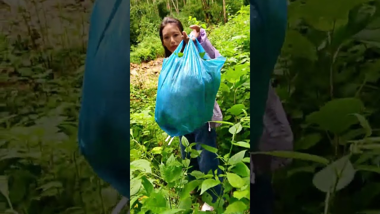 जाने होइन ...तपाईहरु पनि हामीसंग ...?घुम्नलाई .