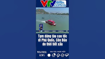 Tạm dừng tàu cao tốc đi Phú Quốc, Côn Đảo do thời tiết xấu | VTVWDB