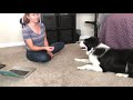 Teach Your Dog to Play Dead Starting from Nothing! Teach Your Dog to Play Dead Starting from Nothing!
